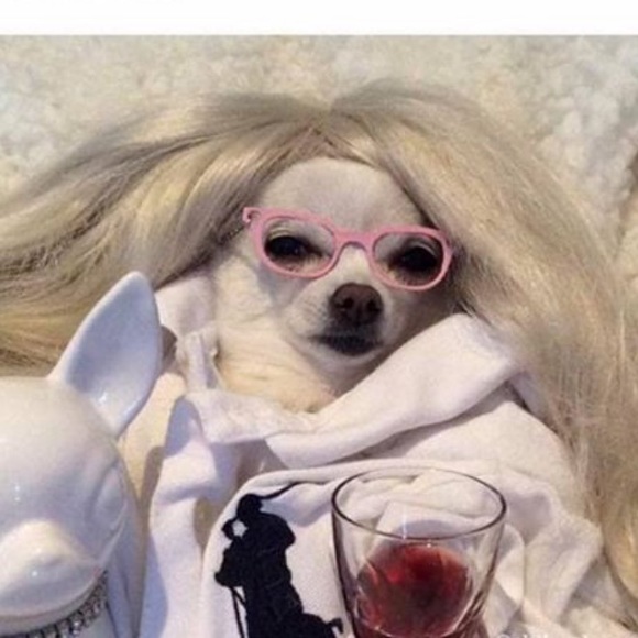 Meet your Posher, Liza - Picture 1 of 1